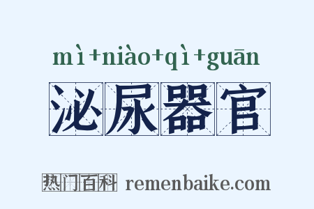 泌尿器官是什么意思的图片